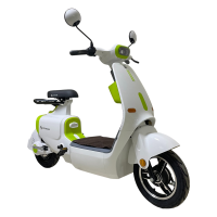 Электроскутер Skyboard Yalta 1200W White (Белый)